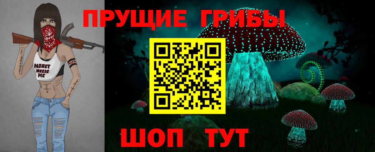 Псилоцибиновые грибы ЛСД Богданович