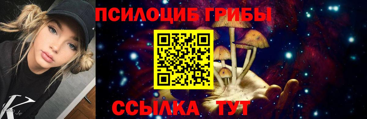 Богданович  Псилоцибиновые грибы мухоморы  Вход с VPN  Галлюциногенные грибы Psilocybe 